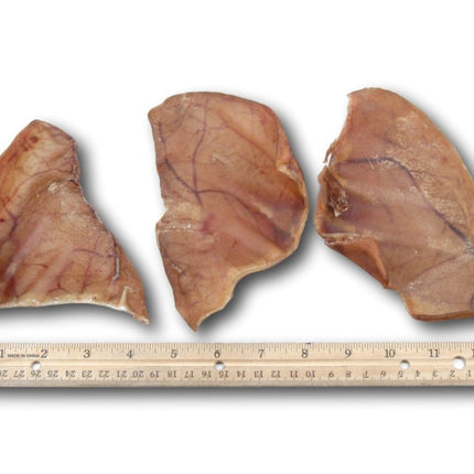 Pig Ears for Dogs 100 Pack - Made in the USA - Top Dog Chews