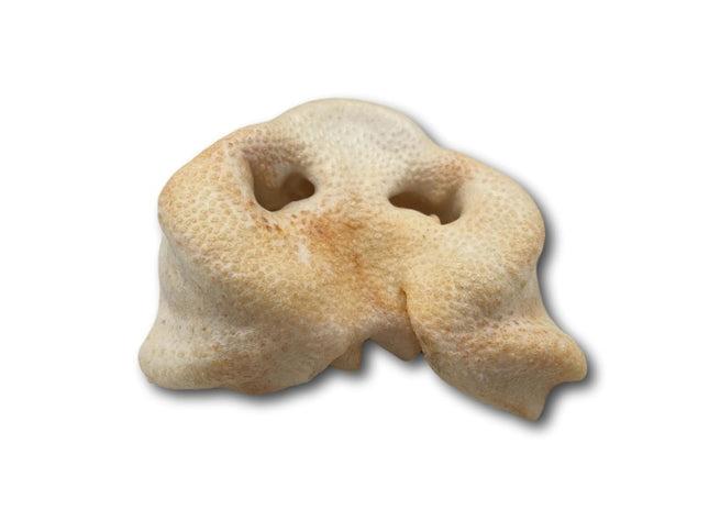Pig Snouts - Top Dog Chews
