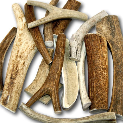Premium Large Antler Variety Pack Dog Treats, 1-lb bag - Top Dog Chews