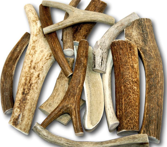 Premium Large Antler Variety Pack Dog Treats, 1-lb bag - Top Dog Chews