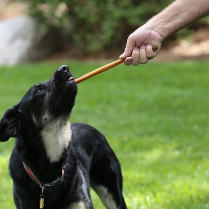 Standard 12" Bully Stick Dog Treats, 12 count - Top Dog Chews