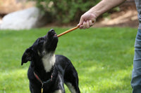Standard 12" Bully Stick Dog Treats, 12 count - Top Dog Chews