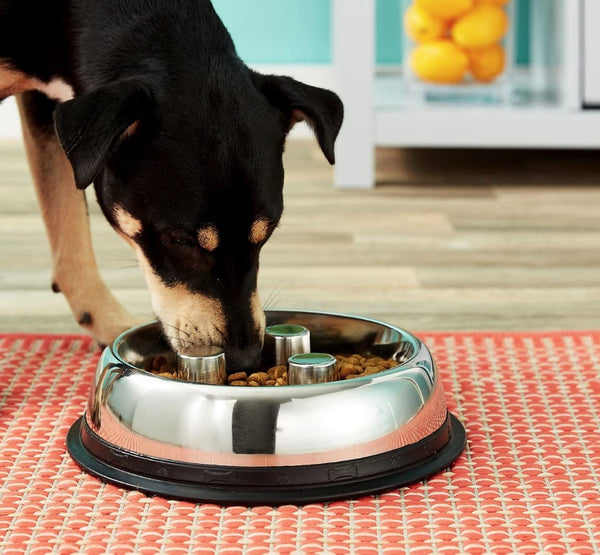 BurgeonNest Slow Feeder Dog Bowls, 27oz Stainless Steel 4-in-1 Food and  Water Bowls with No-Spill Silicone Mat Bloat Stop Slow Down Eating Puzzle  Bowl for Medium Small Sized Dogs Grey