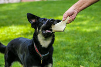 Top Dog Chews Premium Large Elk Antler Dog Treats, 5 count - Top Dog Chews