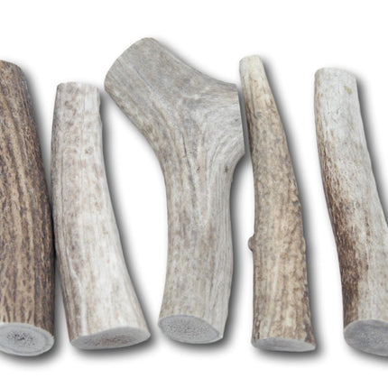 Top Dog Chews Premium Large Elk Antler Dog Treats, 5 count - Top Dog Chews