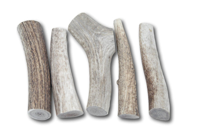 Top Dog Chews Premium Large Elk Antler Dog Treats, 5 count - Top Dog Chews
