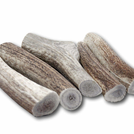 Top Dog Chews Premium Large Elk Antler Dog Treats, 5 count - Top Dog Chews