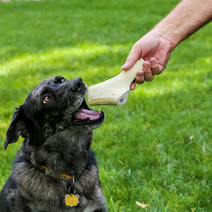 Top Dog Chews Premium Large Elk Antler Dog Treats, 5 count - Top Dog Chews