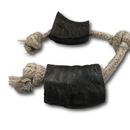 Water Buffalo Horn and Rope Chew Toy - Medium - Top Dog Chews