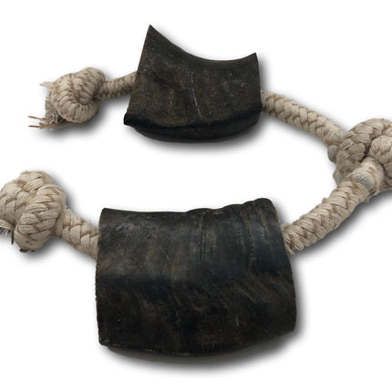 Water Buffalo Horn and Rope Chew Toy - Medium - Top Dog Chews