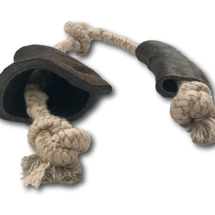 Water Buffalo Horn and Rope Chew Toy - Medium - Top Dog Chews