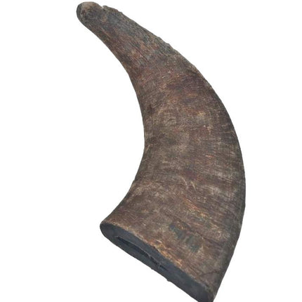 Water Buffalo Horn - Large - 1 Piece - Top Dog Chews