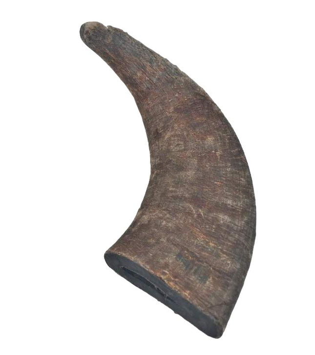 Water Buffalo Horn - Large - 1 Piece - Top Dog Chews