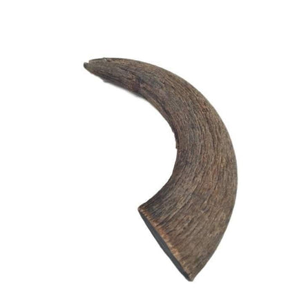 Water Buffalo Horn - Medium - 1 Piece - Top Dog Chews