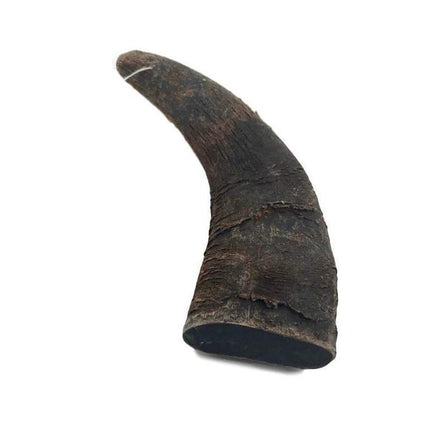 Water Buffalo Horn - Small - 1 Piece - Top Dog Chews